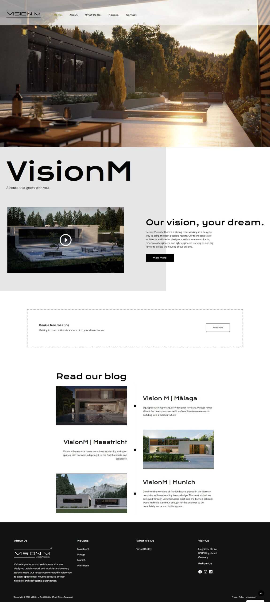 Vision M